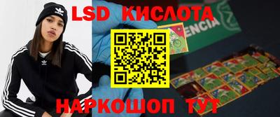СК Севастополь